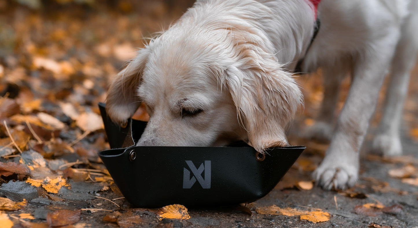 Trekking bowl