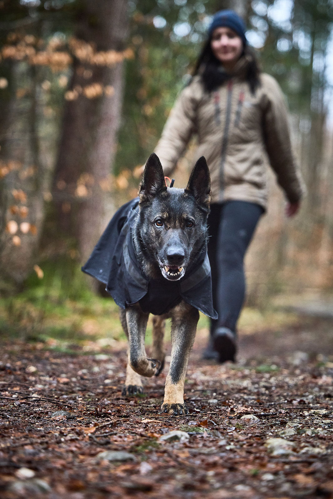 Trekking dog raincoat 登山レインジャケット