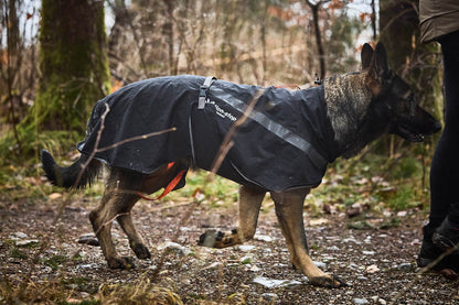 Trekking dog raincoat 登山レインジャケット