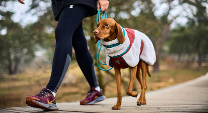 Trekking fleece dog jacket イヌ用ジャケット