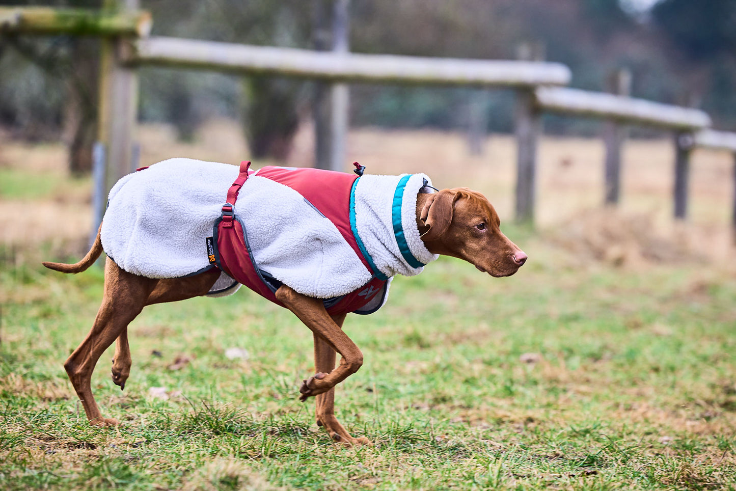 Trekking fleece dog jacket イヌ用ジャケット