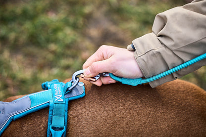 毎日の散歩に高耐久リード Trekking rope leash