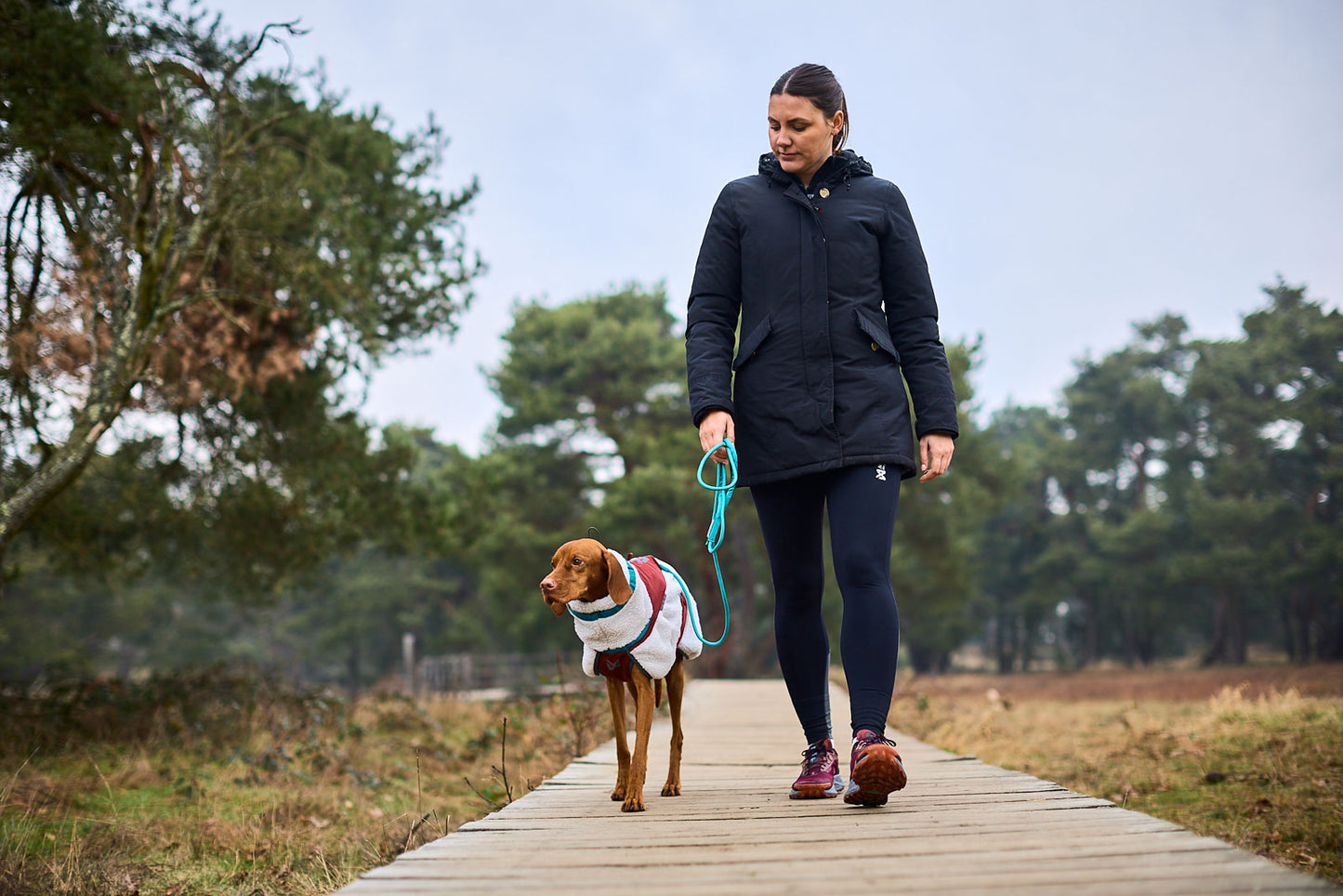 毎日の散歩に高耐久リード Trekking rope leash
