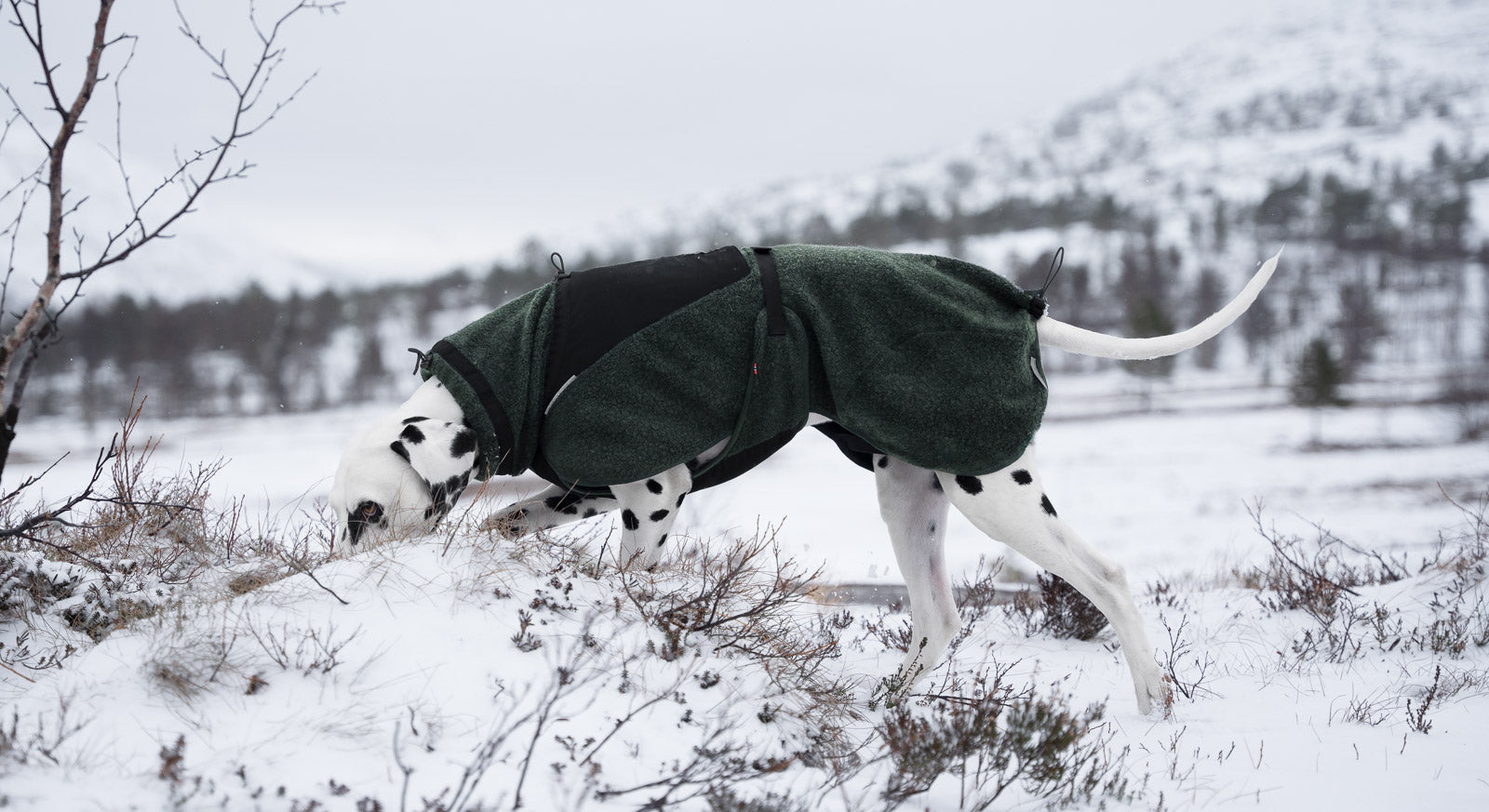 wool dog jacket 雪山・スキー対応 犬用ウールジャケット – イヌと